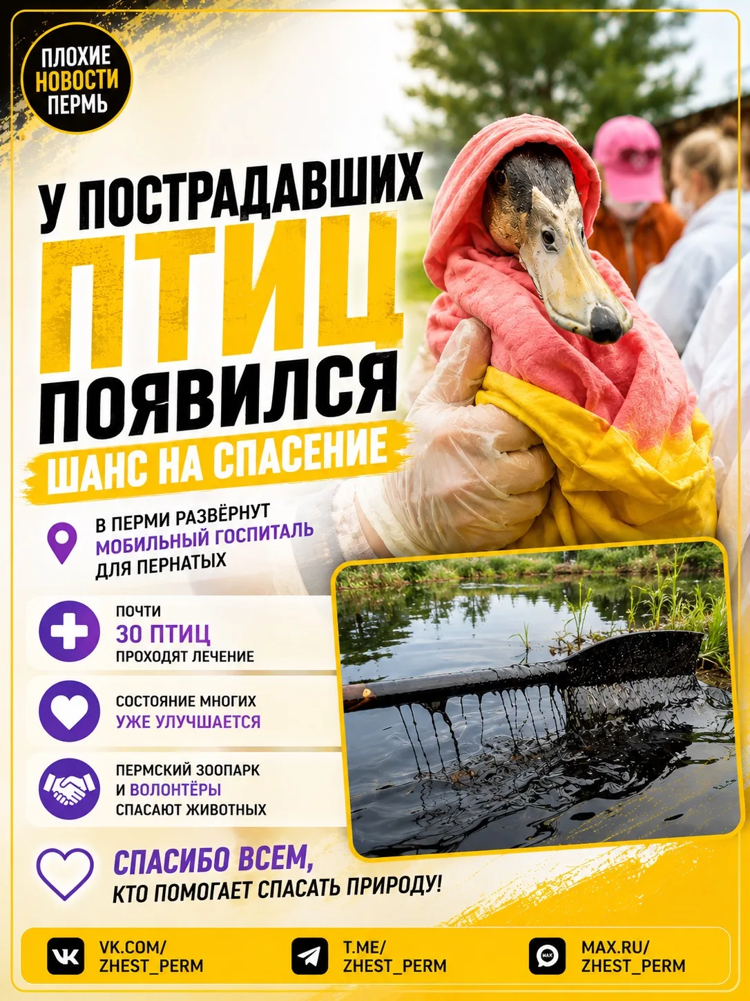 Изображение из сообщения канала