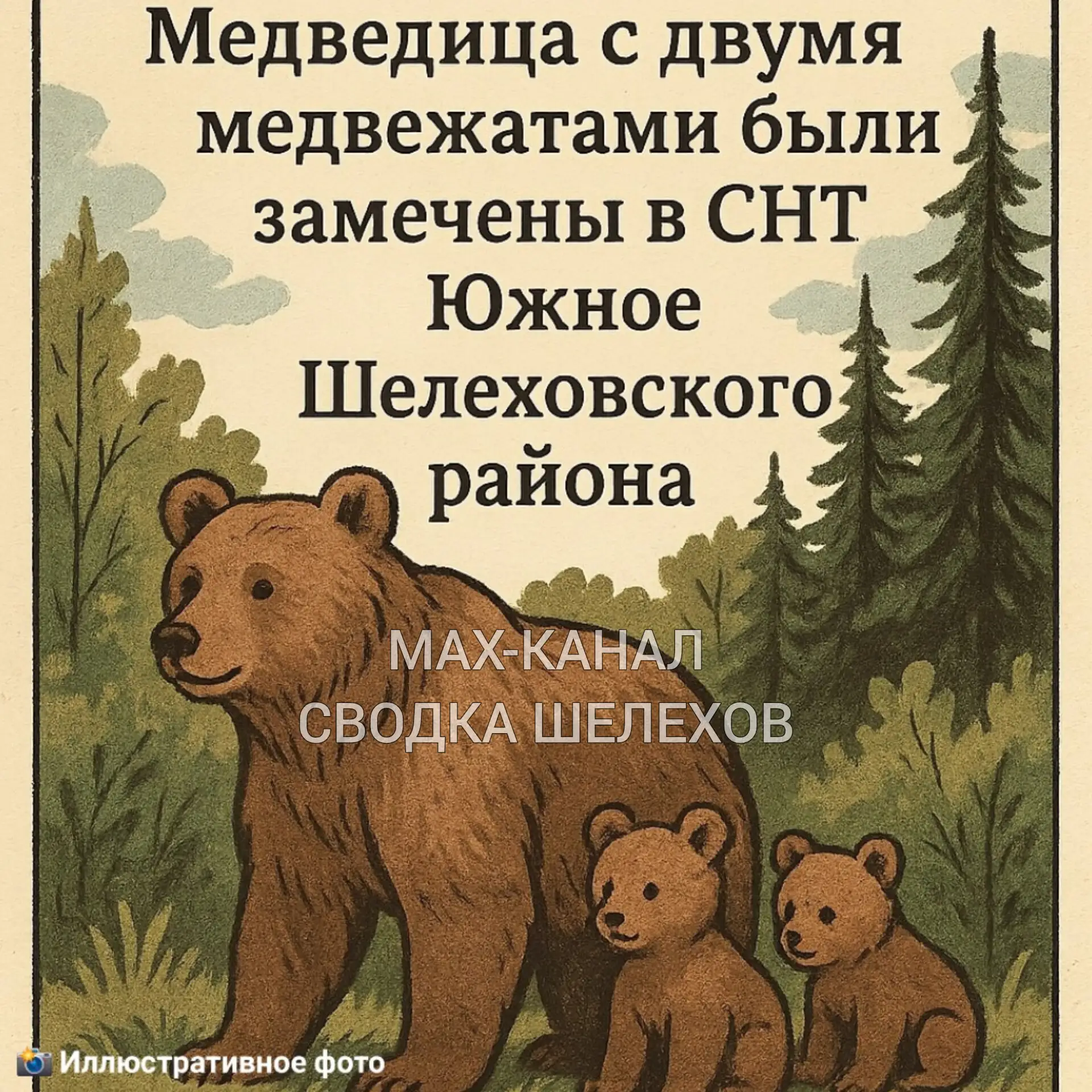 Изображение из сообщения канала