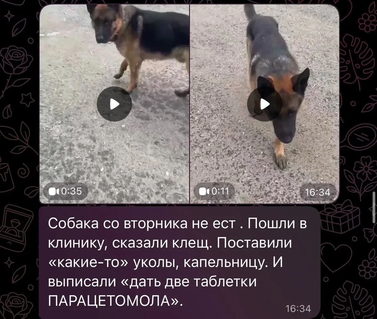 Изображение из сообщения канала