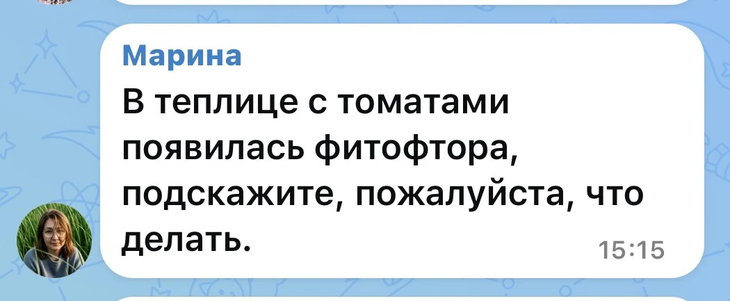 Изображение из сообщения канала