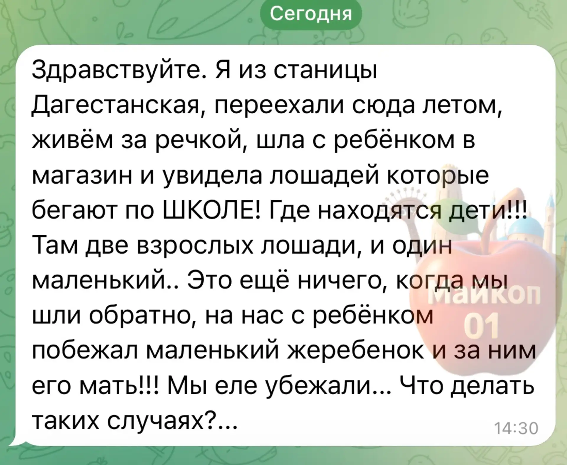 Изображение из сообщения канала