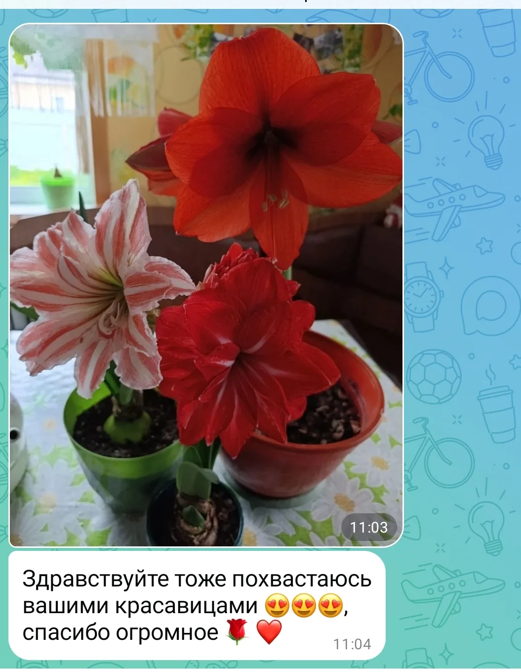 Изображение из сообщения канала