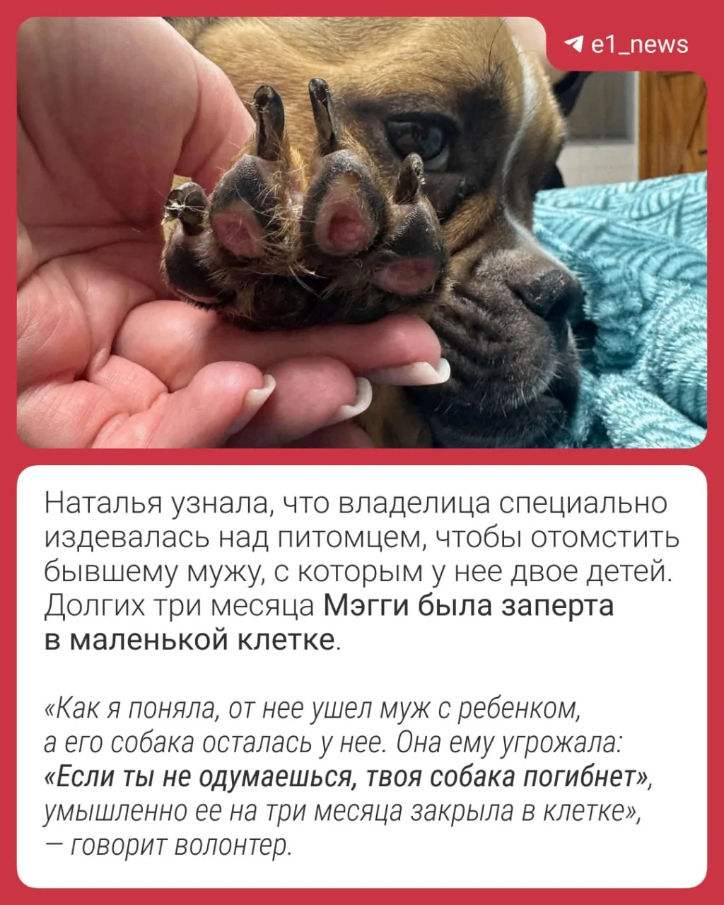 Изображение из сообщения канала