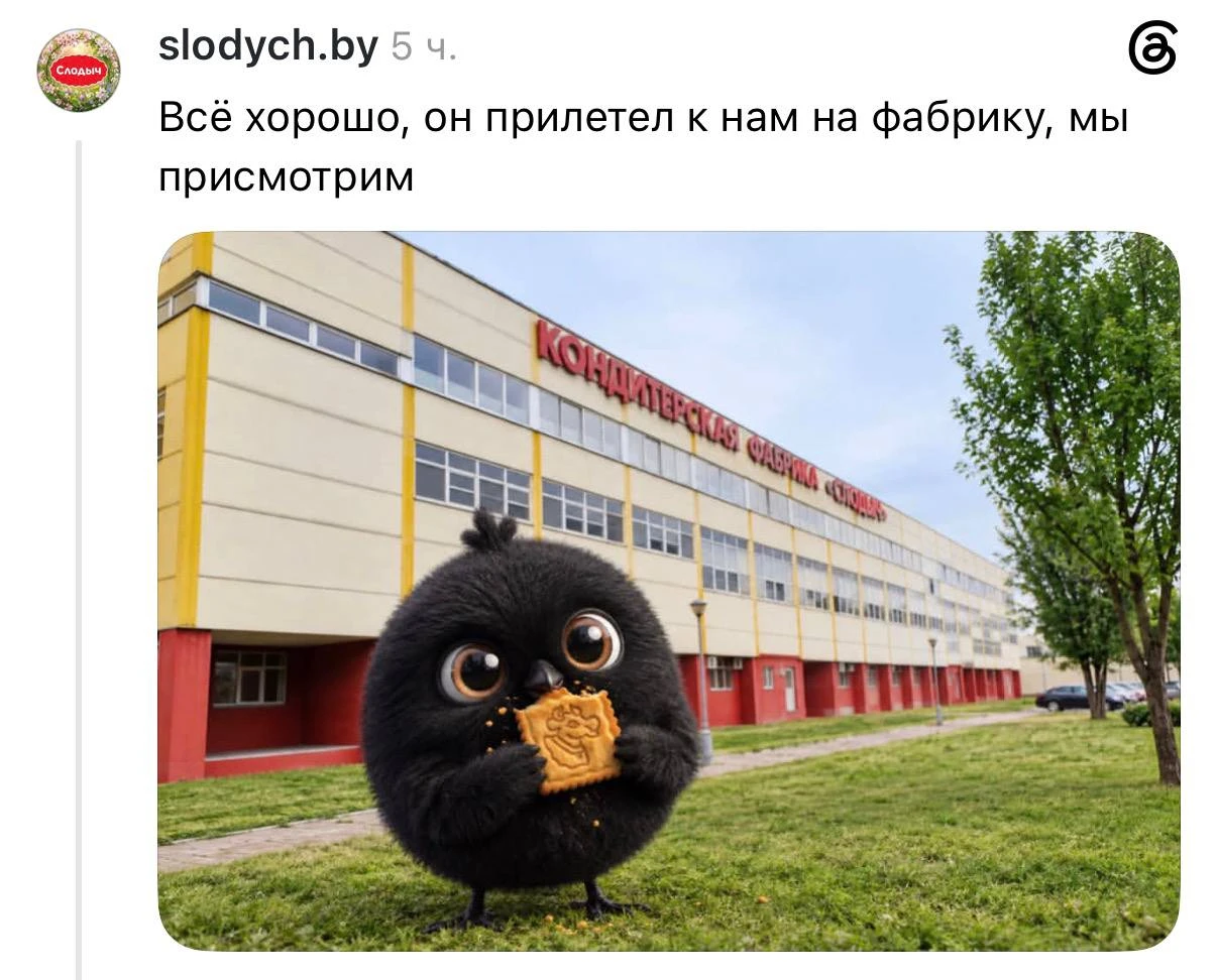 Изображение из сообщения канала