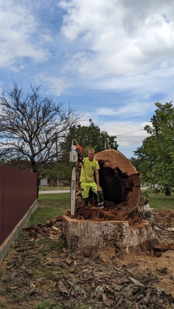 Логотип канала