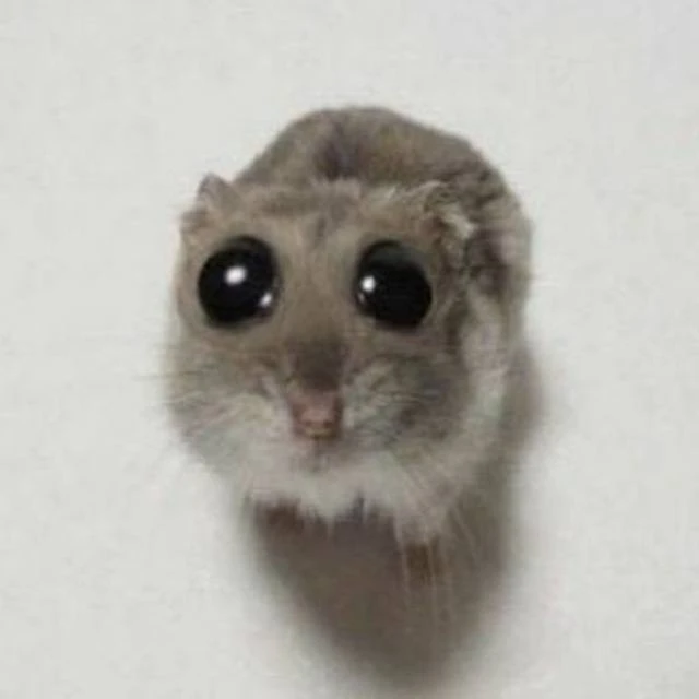 Стикеры и Эмодзи