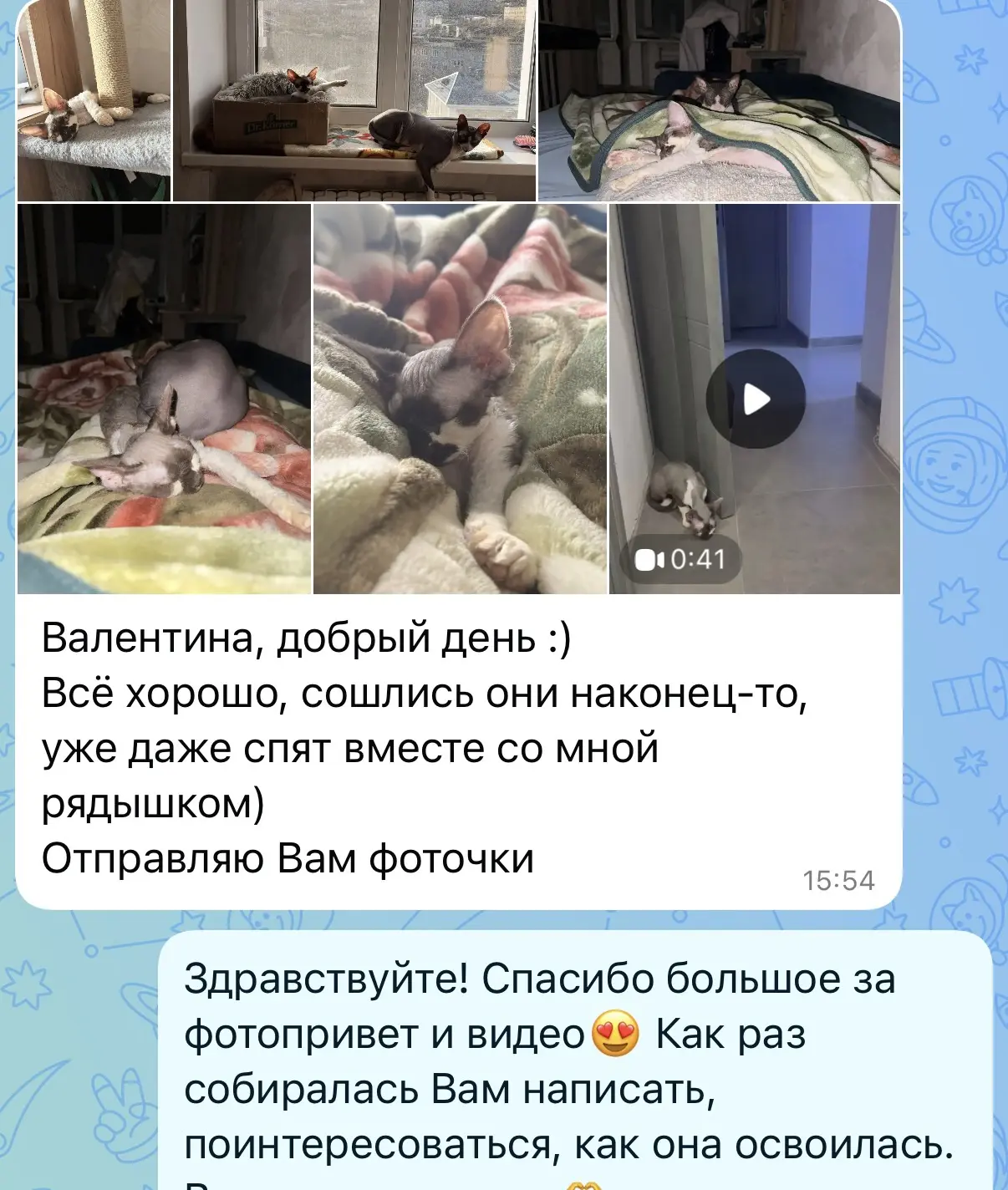 Изображение из сообщения канала