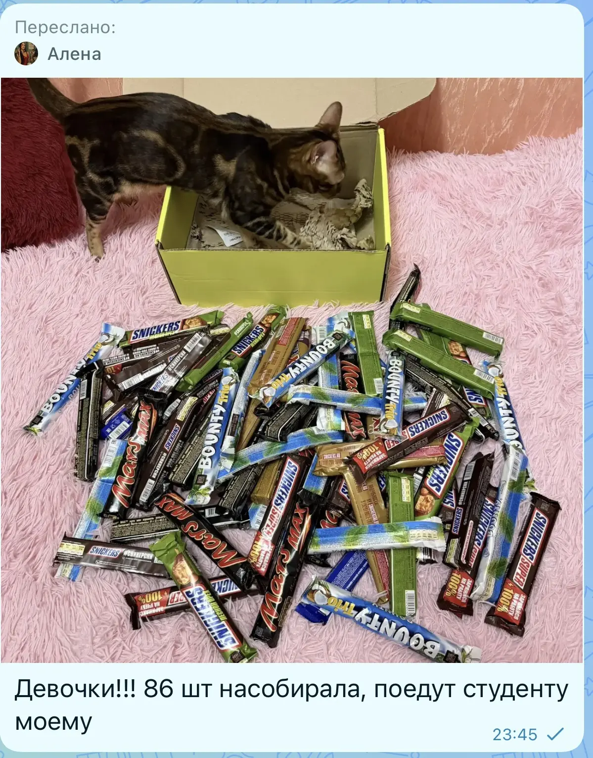 Изображение из сообщения канала