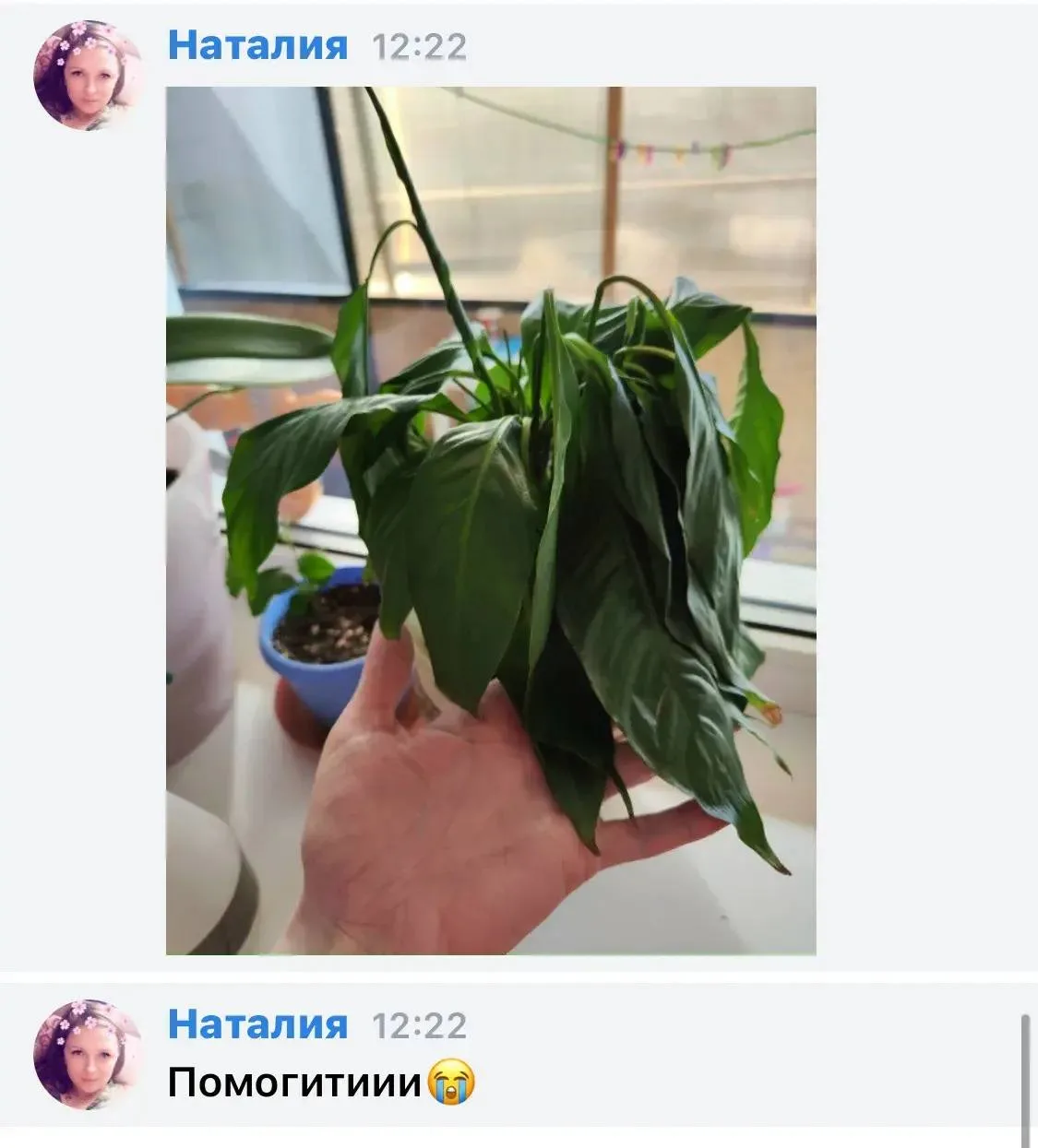 Изображение из сообщения канала