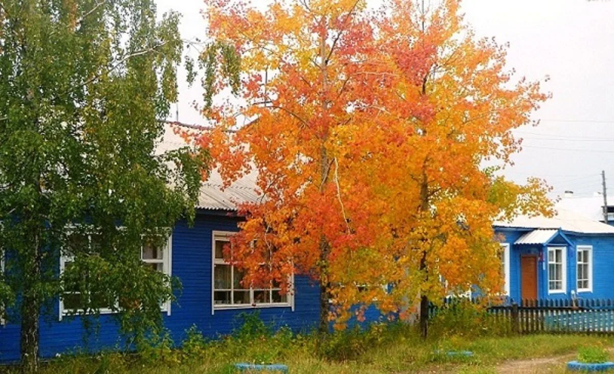 МБОУ "Синегорская ООШ"