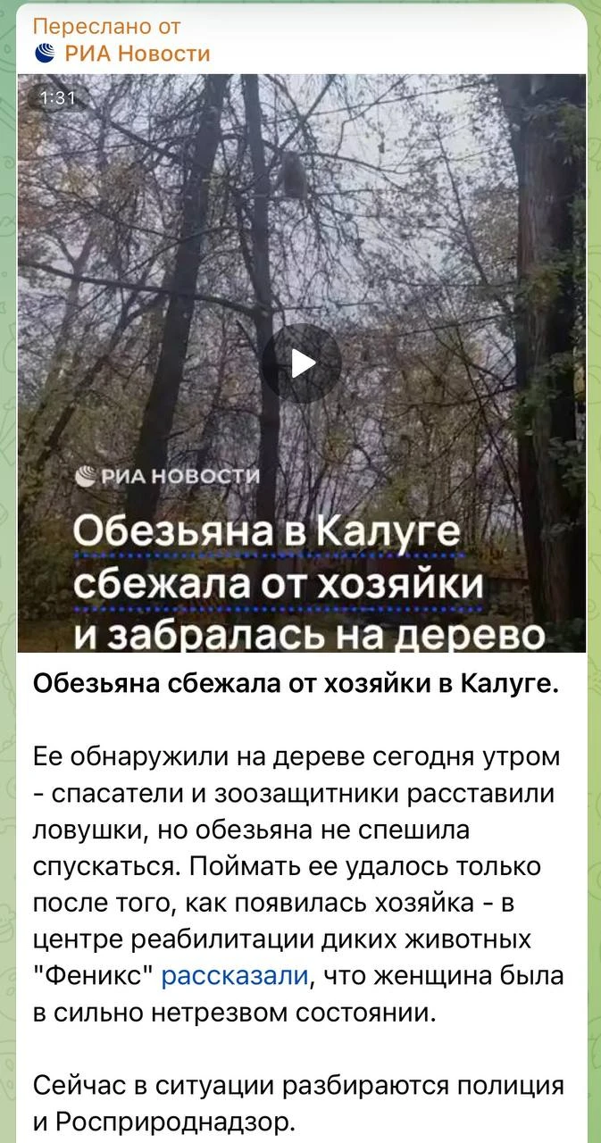 Изображение из сообщения канала