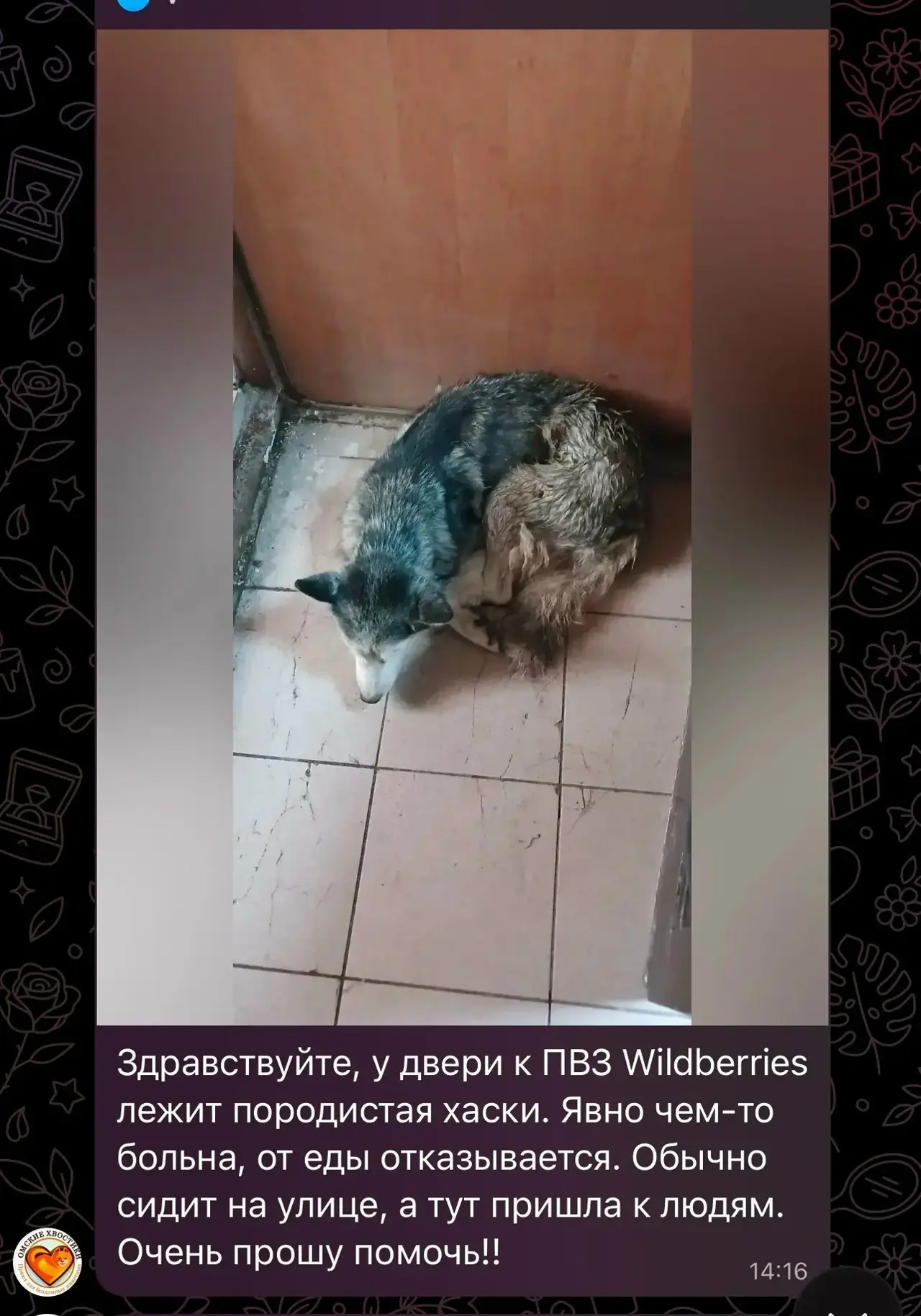 Изображение из сообщения канала
