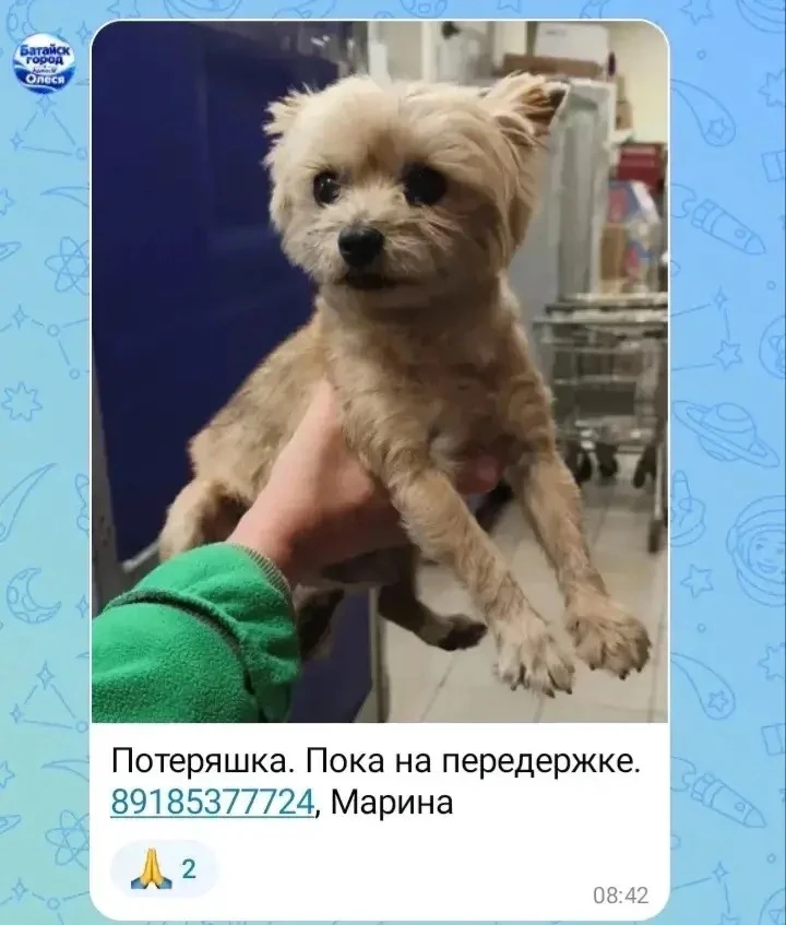 Изображение из сообщения канала