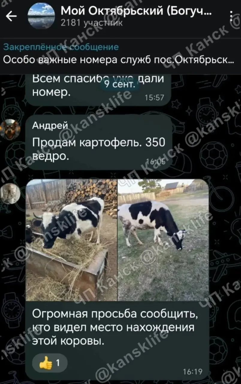 Изображение из сообщения канала