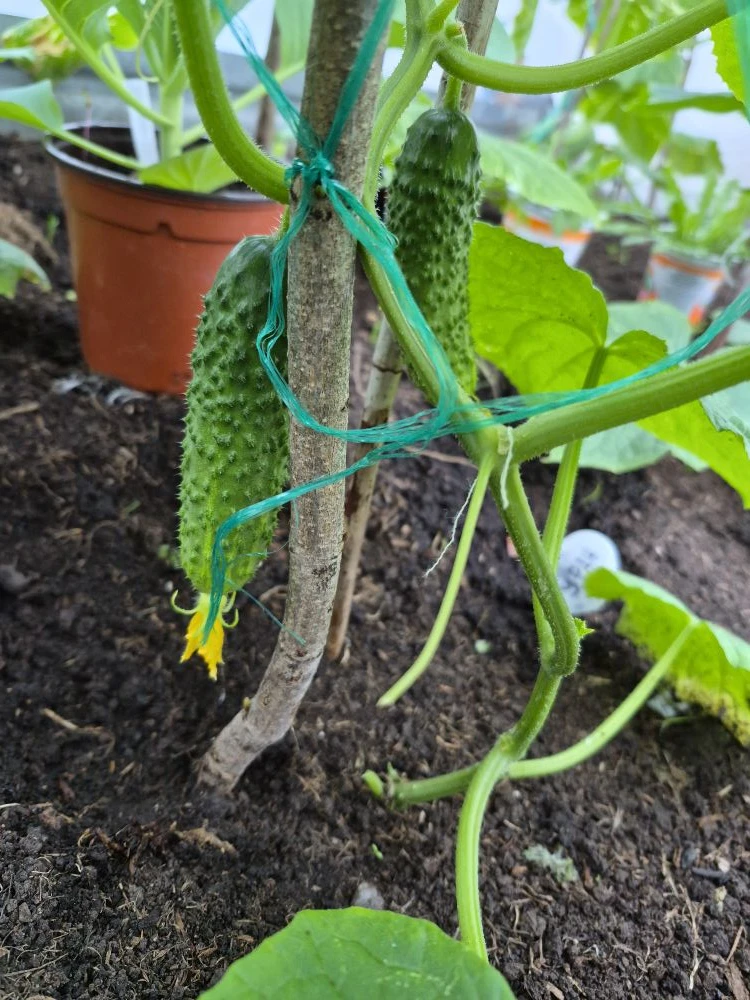 i?r=BTE2sh_eZW7g8kugOdIm2NotaAHHK-orJBiSfrStJdXD2L3i2-RYtRLhjiKuHSJVDvw