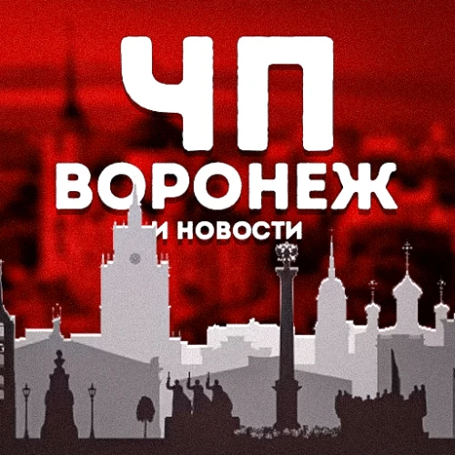 Бот / Новостей