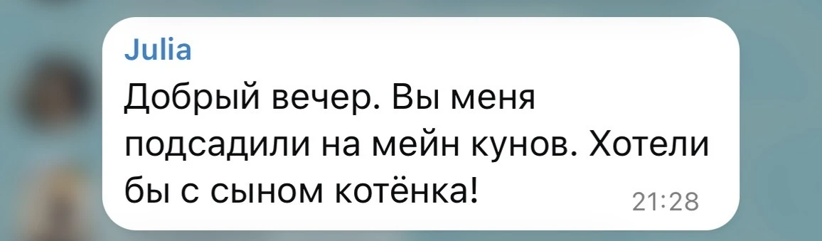 Изображение из сообщения канала