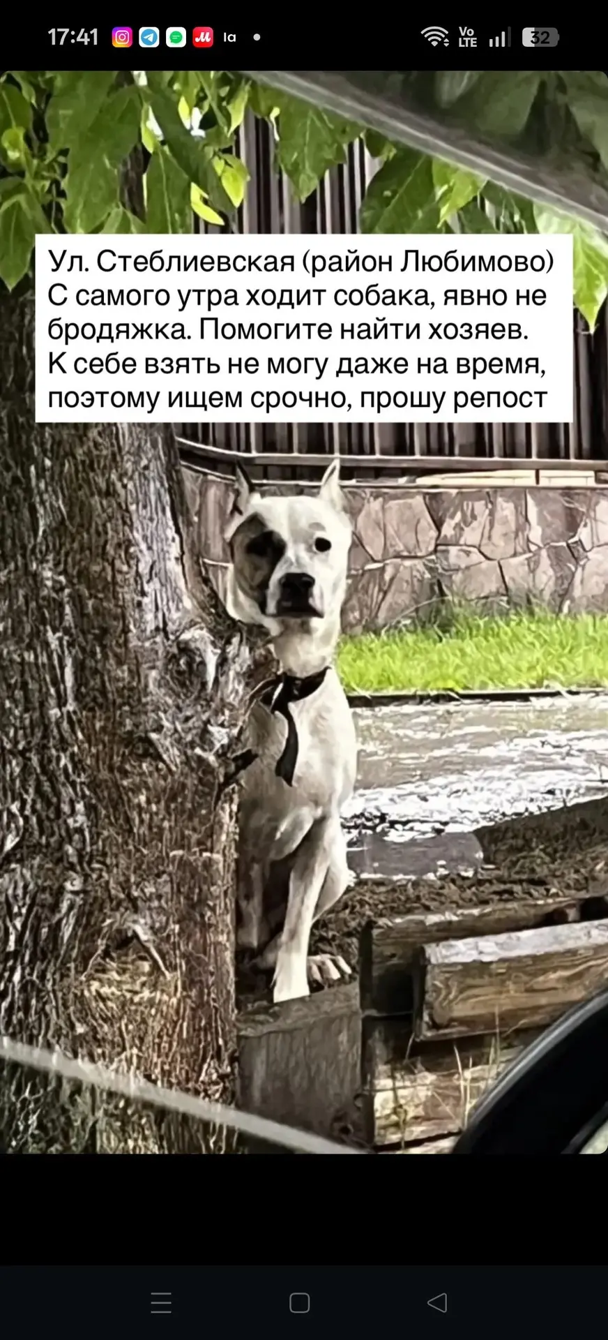 Изображение из сообщения канала