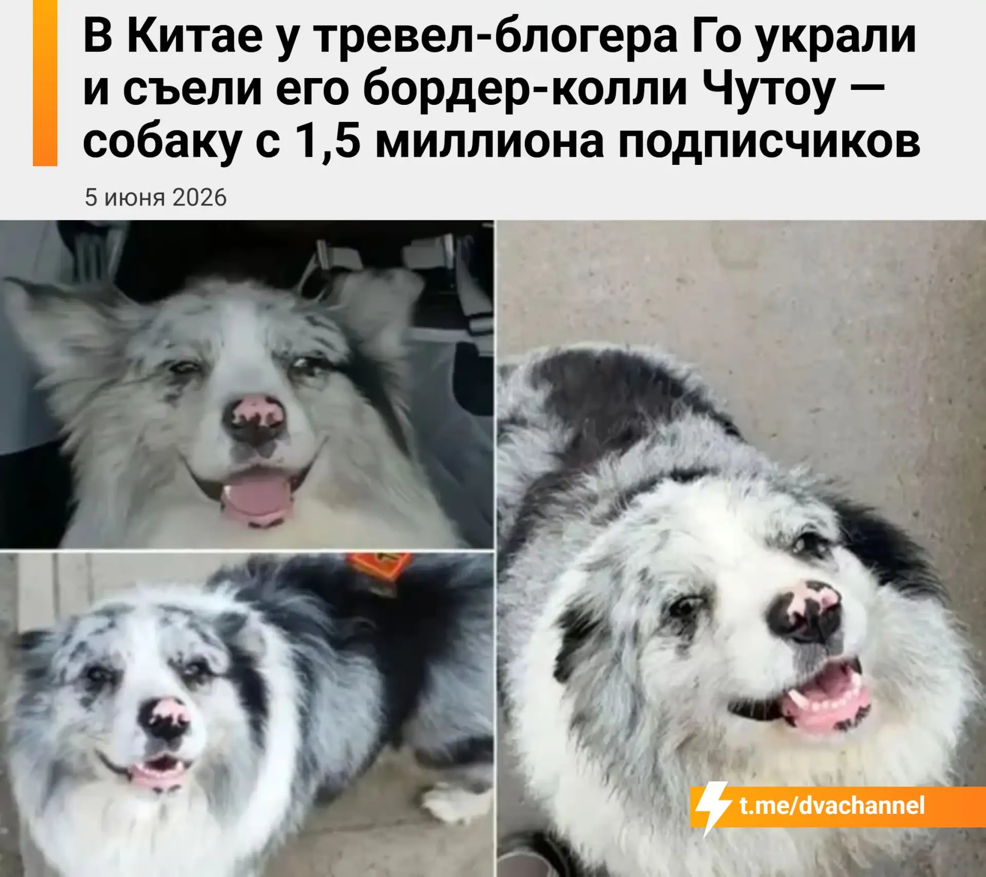 Изображение из сообщения канала