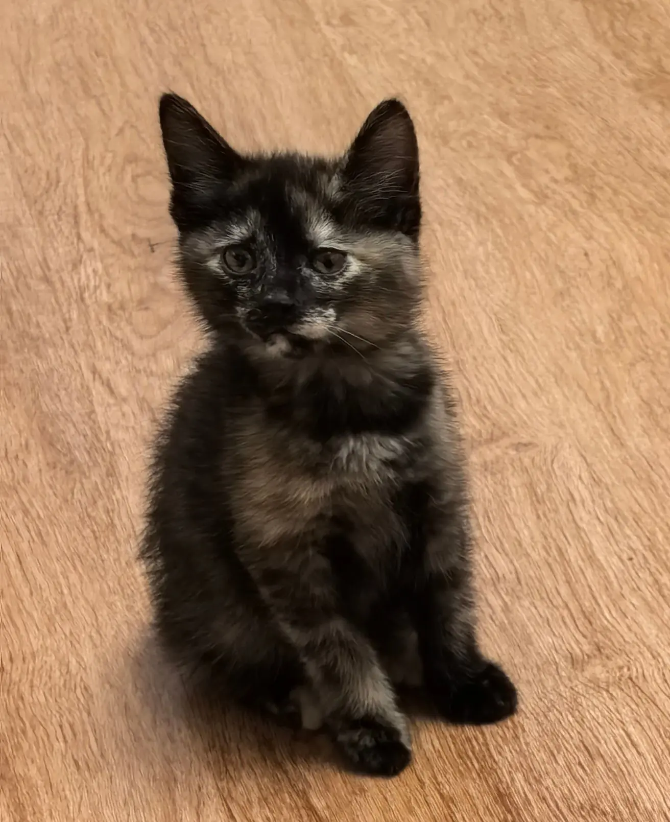 Логотип канала