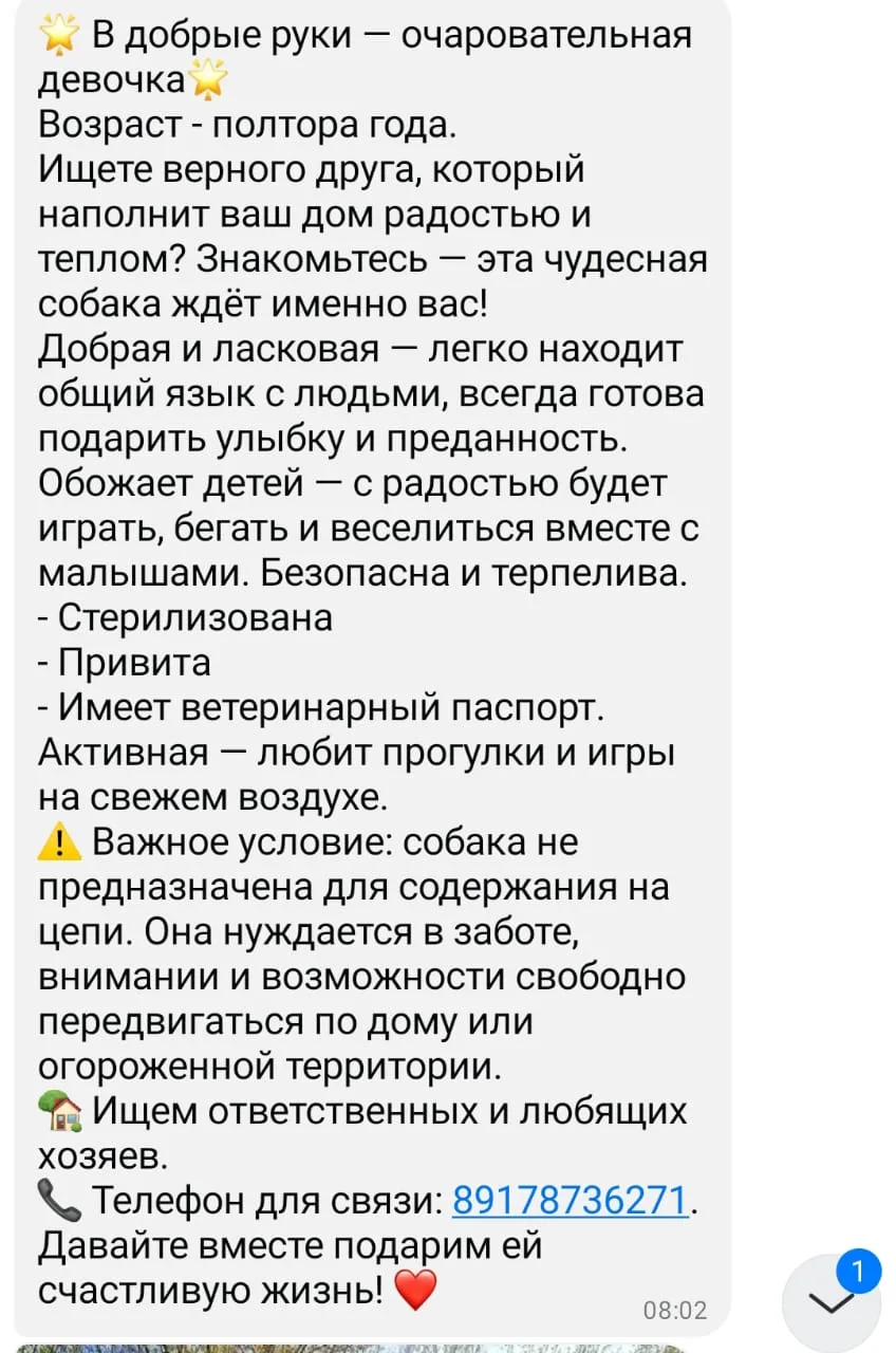 Изображение из сообщения канала