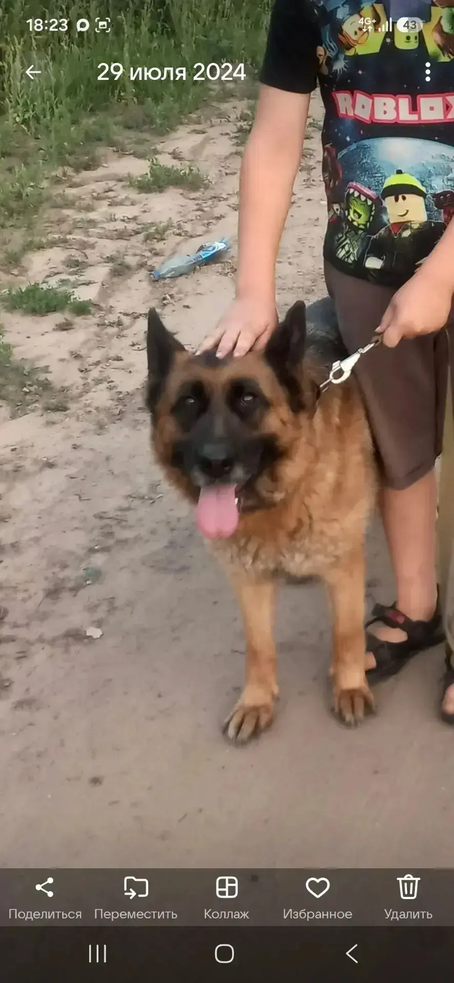 Изображение из сообщения канала