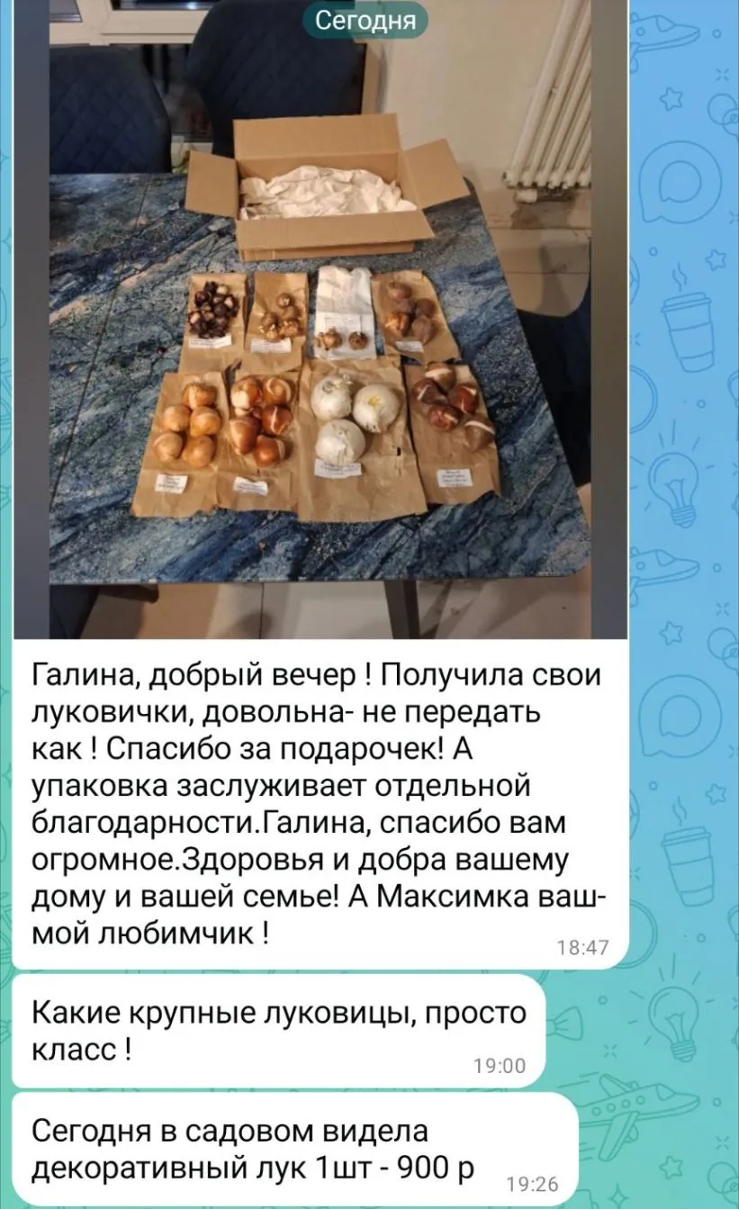 Изображение из сообщения канала