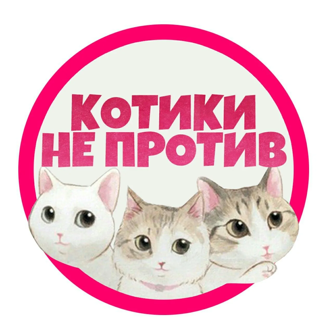 Фотография канала Max Котики не против