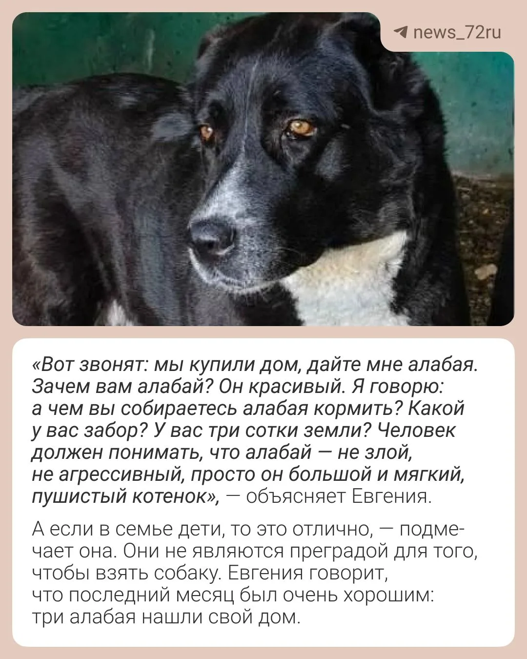 Изображение из сообщения канала
