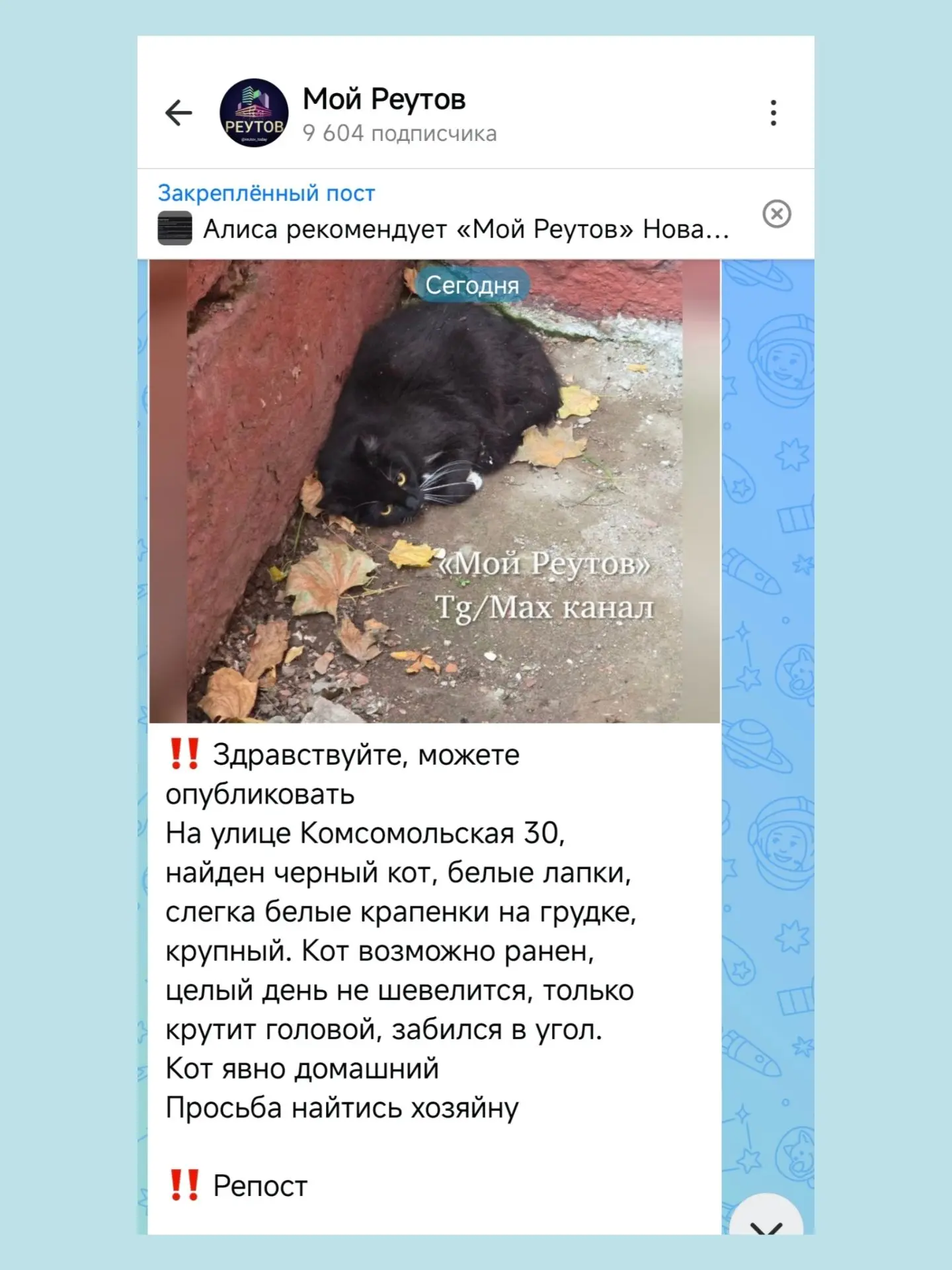 Изображение из сообщения канала