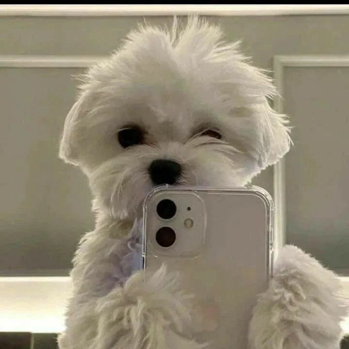 🐶ПёсоФФФ | Собаки без фильтра