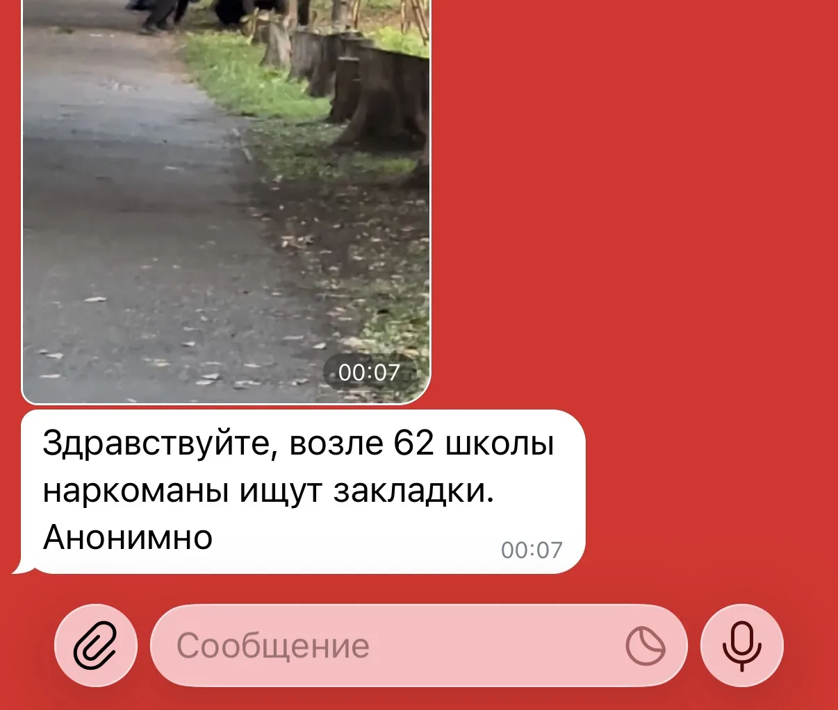 Изображение из сообщения канала
