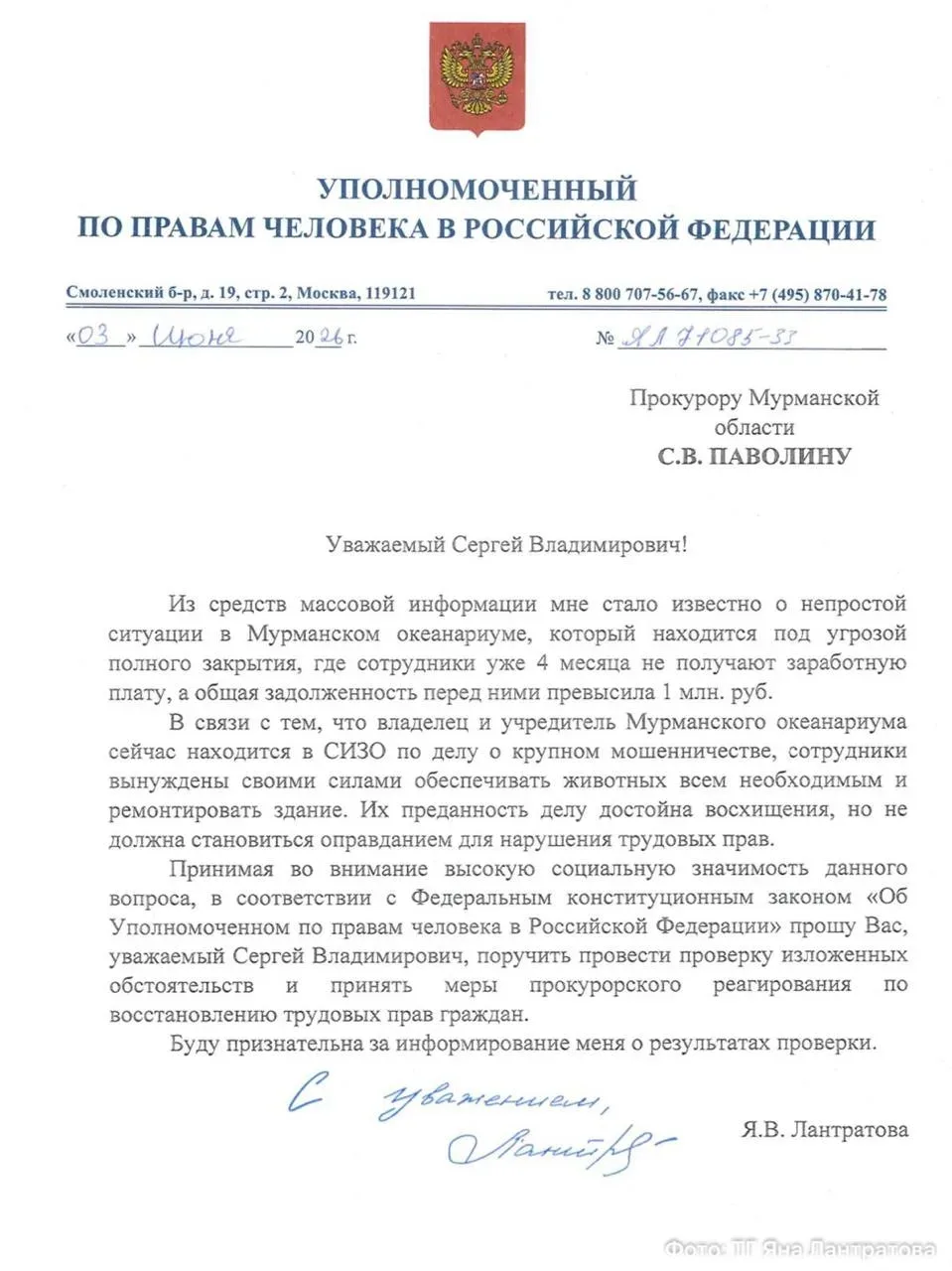 Изображение из сообщения канала