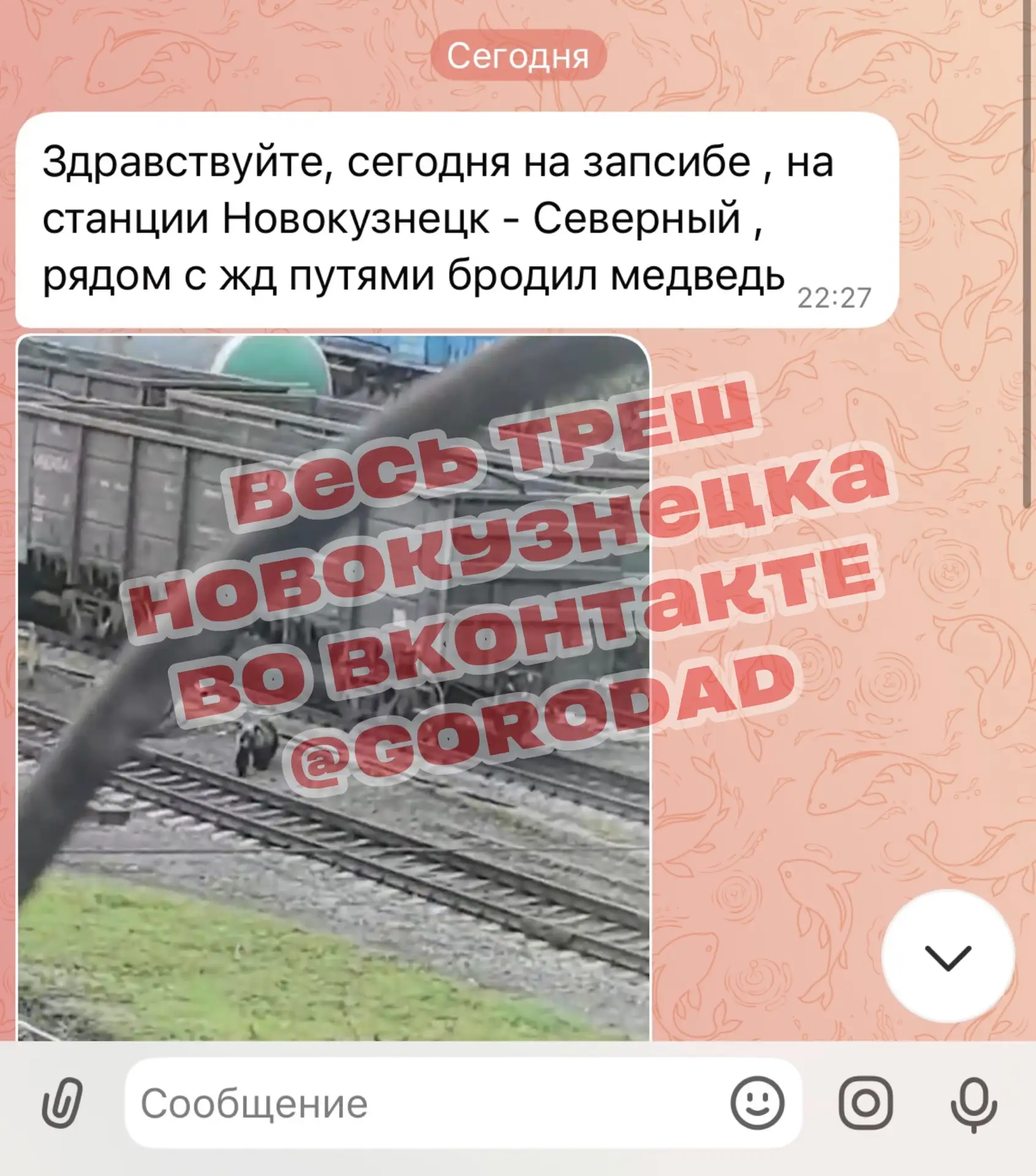 Изображение из сообщения канала