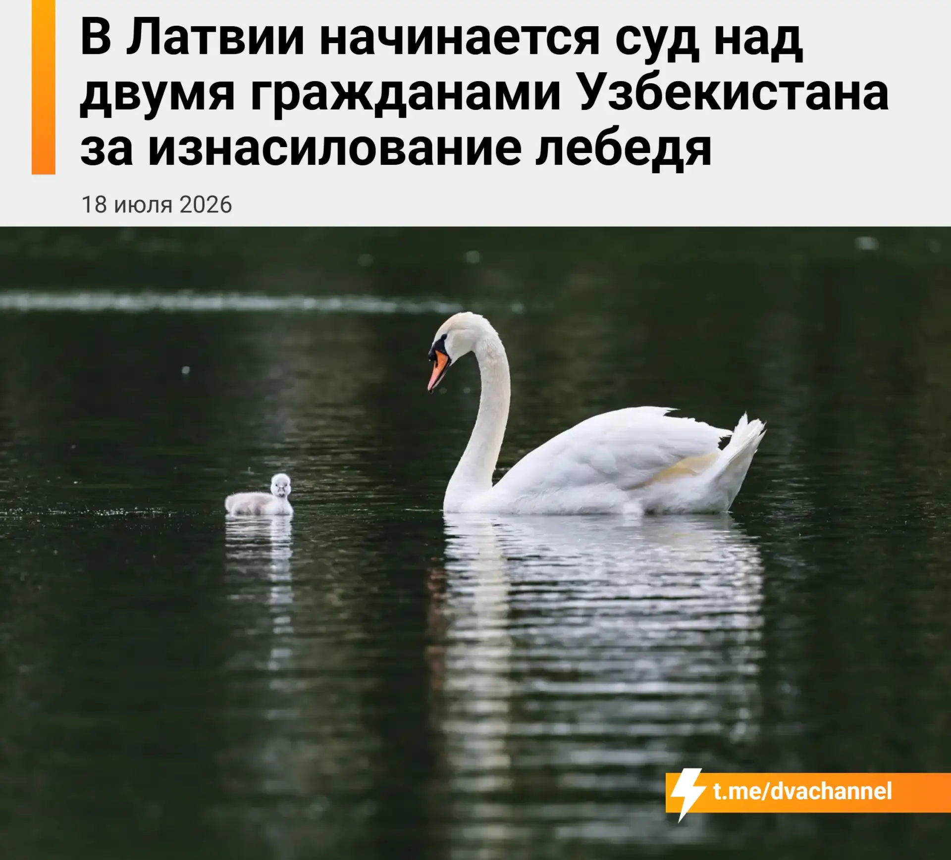 Изображение из сообщения канала