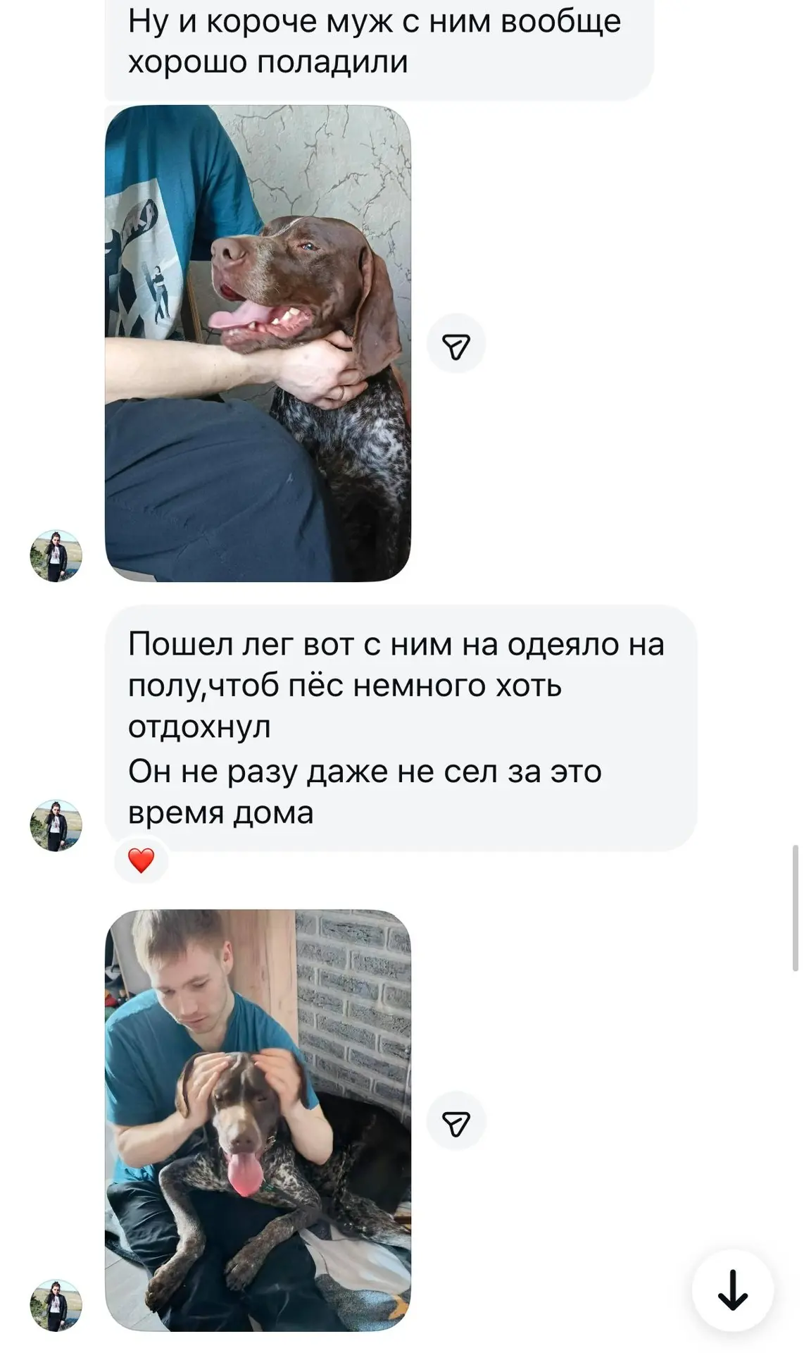 Изображение из сообщения канала