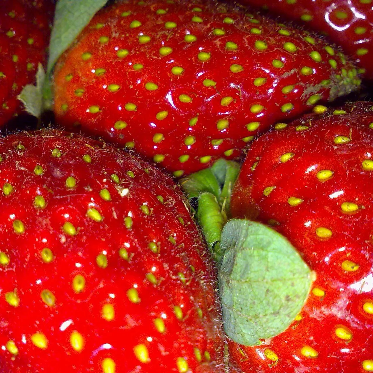 Логотип канала Кухня изнутри