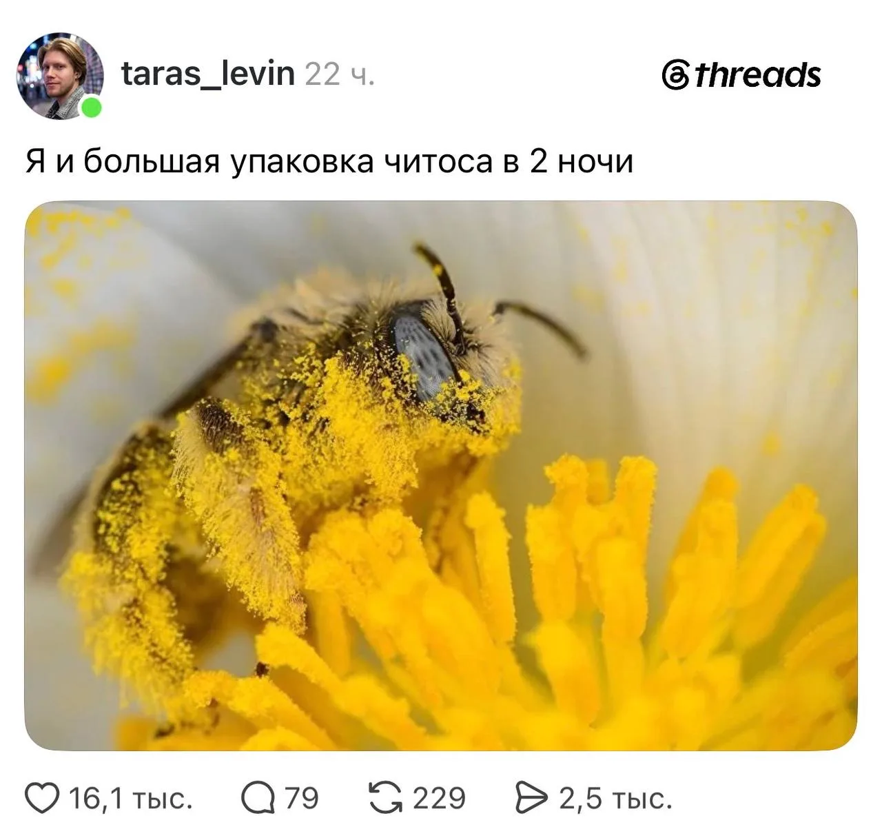 Изображение из сообщения канала