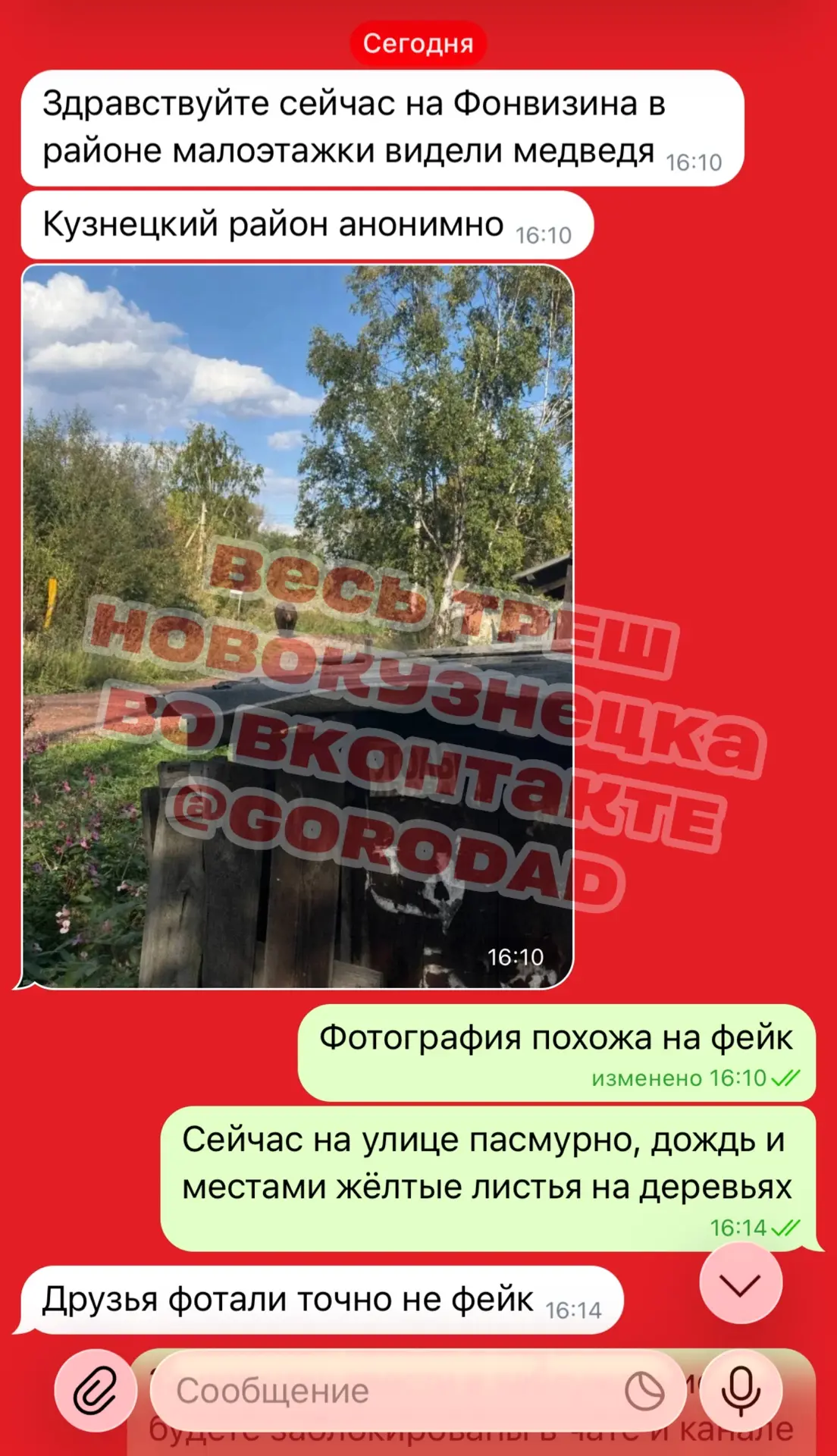 Изображение из сообщения канала