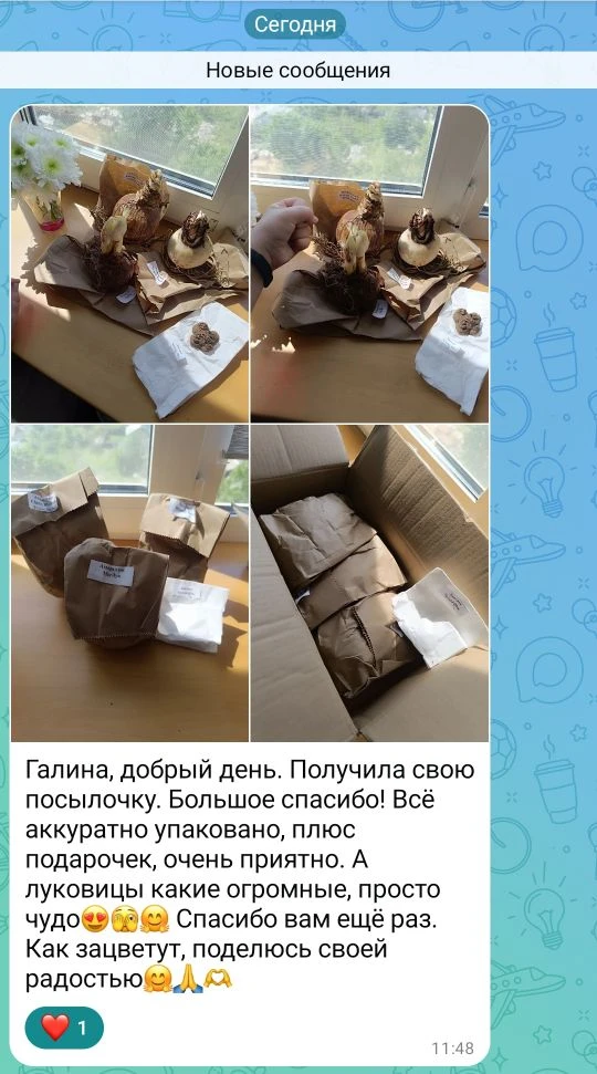 Изображение из сообщения канала