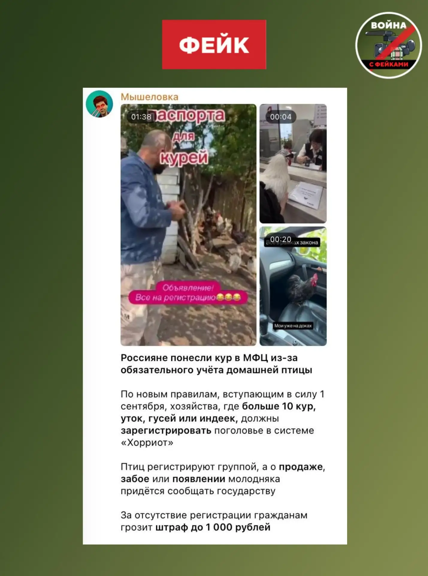 Изображение из сообщения канала
