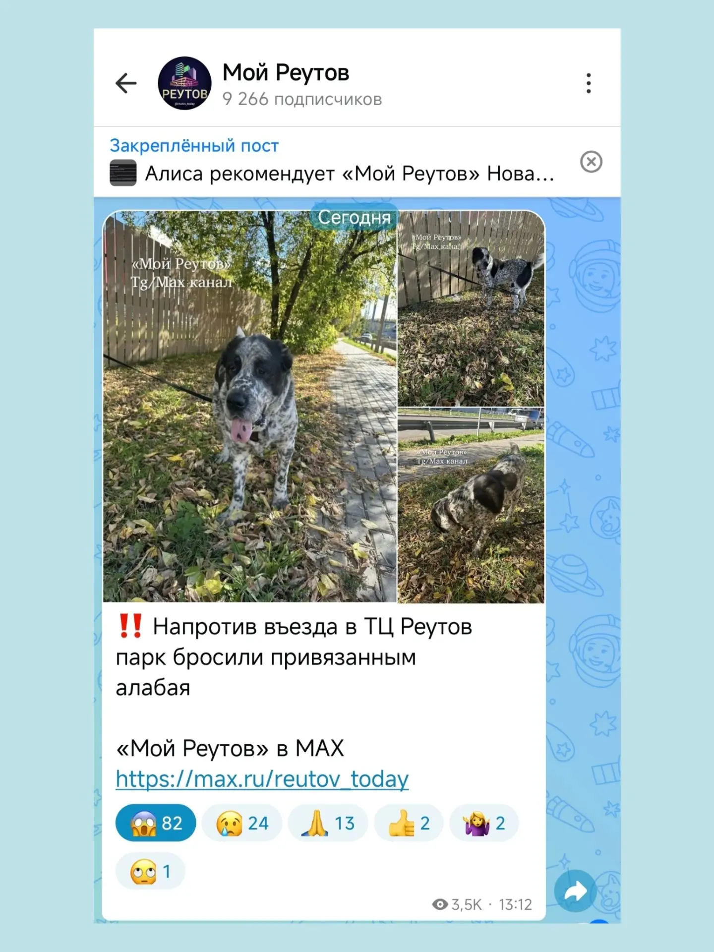 Изображение из сообщения канала