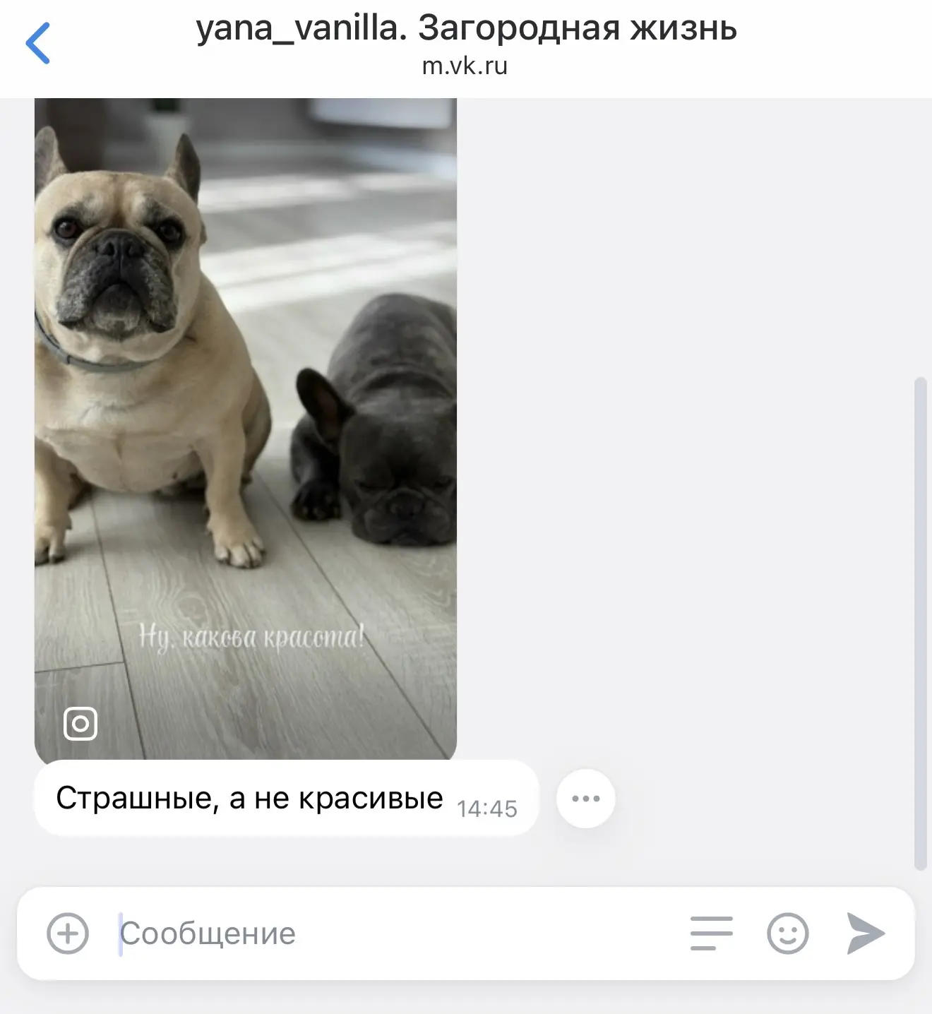 Изображение из сообщения канала