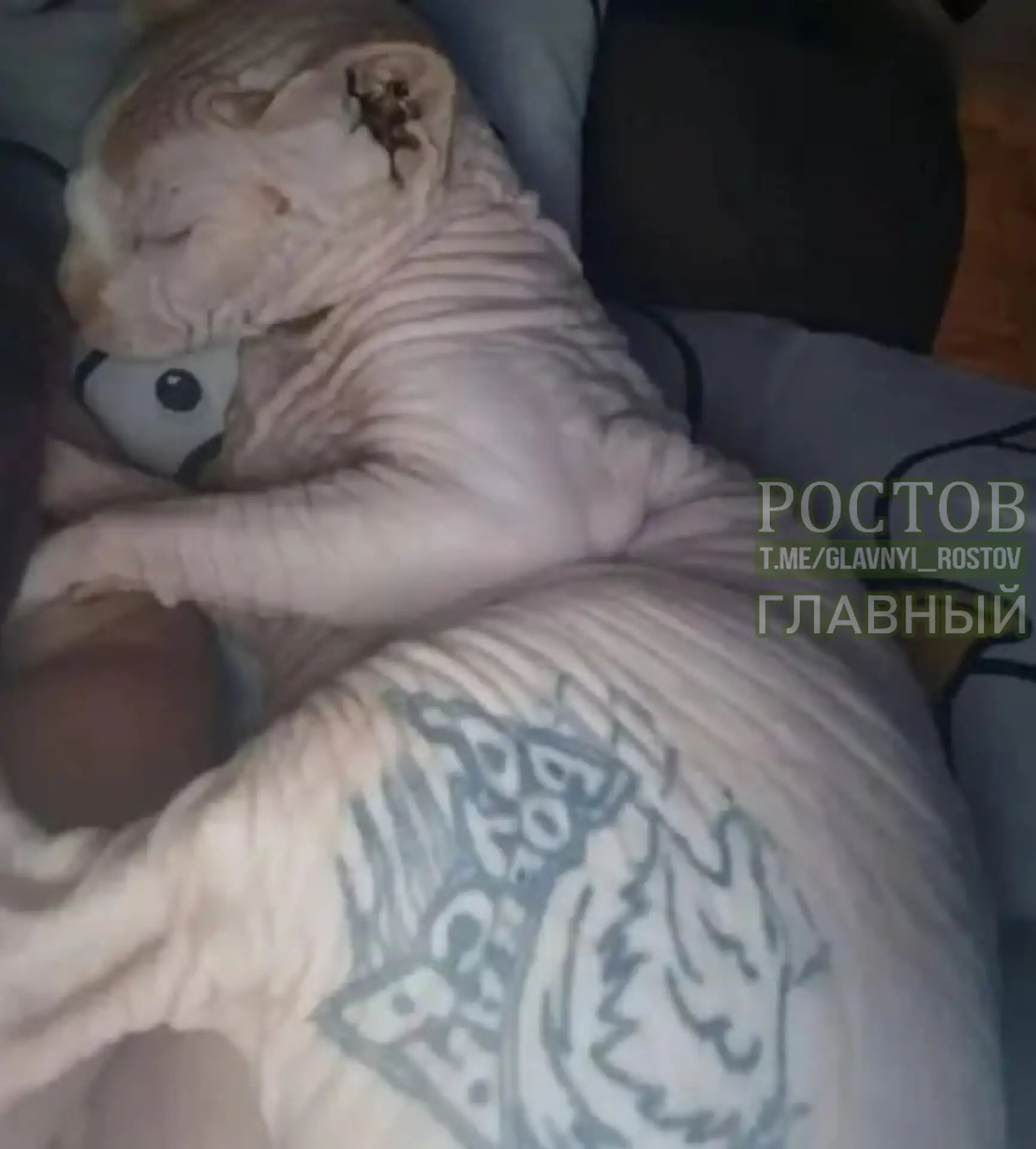 Изображение из сообщения канала