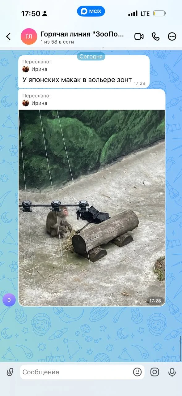 Изображение из сообщения канала