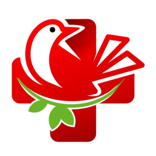 Электронные сервисы в здравоохранении Курской области