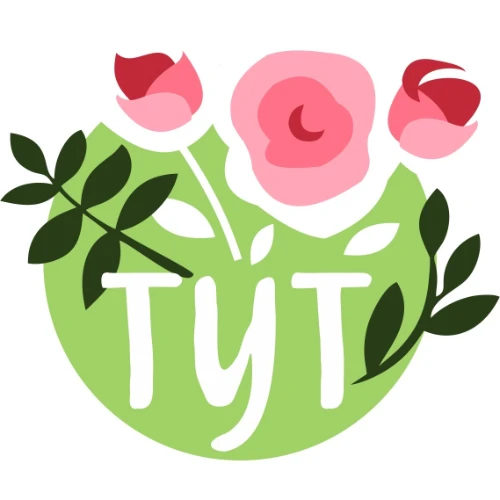 ЦвеТут Цветы