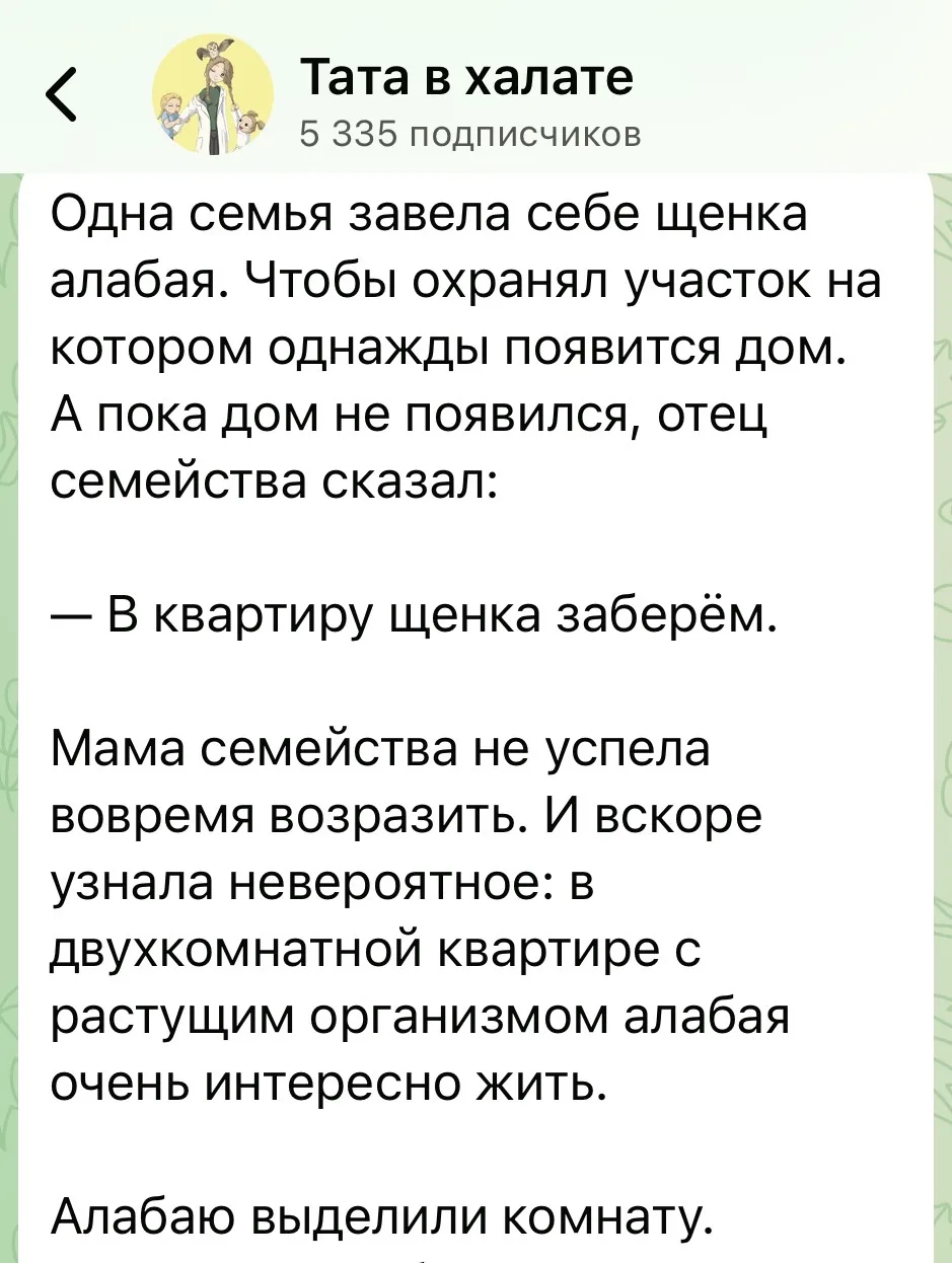 Изображение из сообщения канала