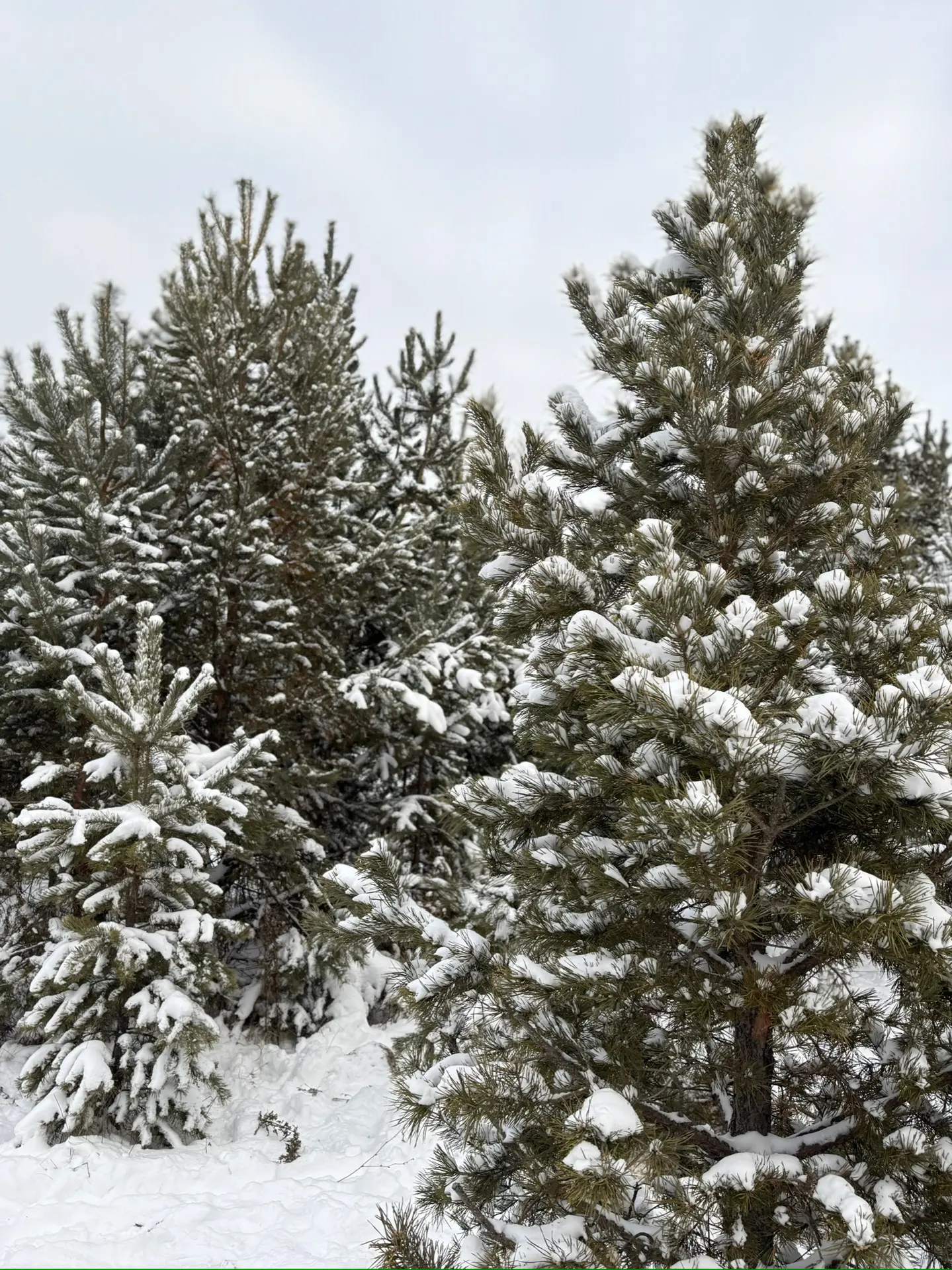 Логотип канала