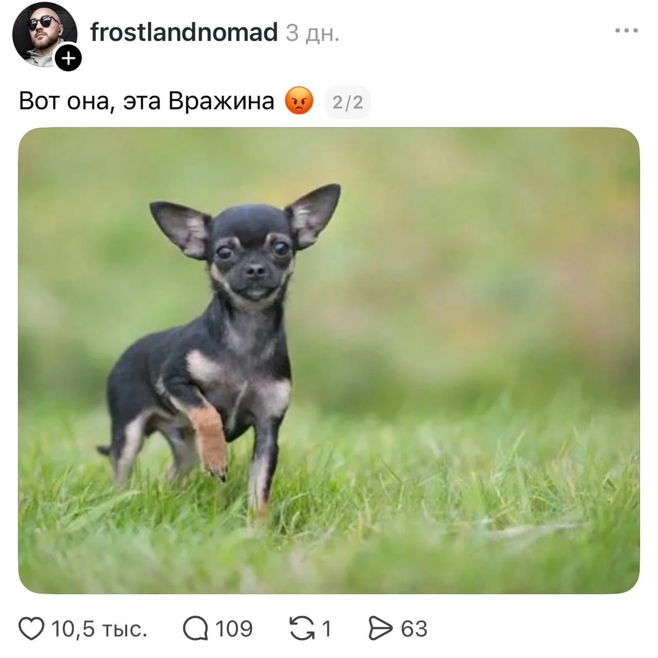 Изображение из сообщения канала